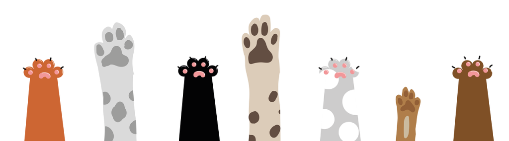 paws, cat, dog-5491105.jpg